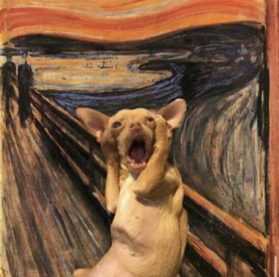 Подборка прикольных картинок Подборка прикольных картинок приколы,смешные картинки,юмор