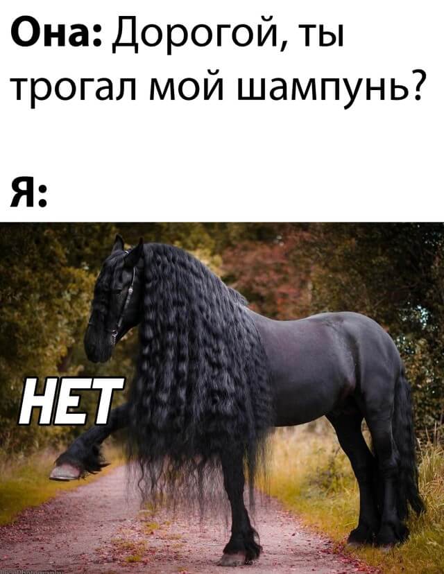 Подборка прикольных картинок  приколы,смешные картинки,юмор