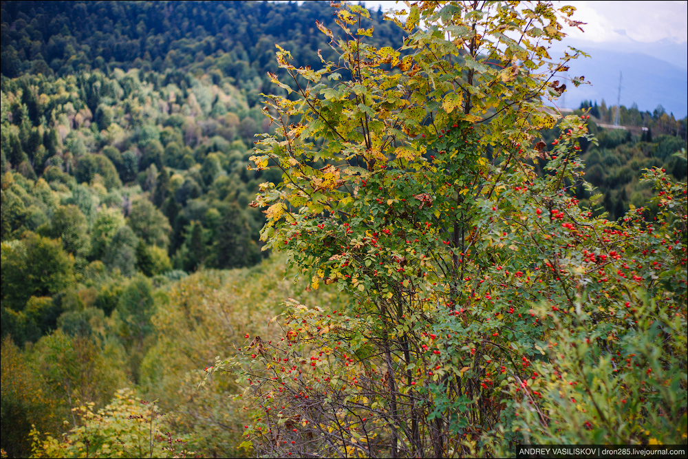 Адыгея. Плато Лаго-Наки. Адыгея. Плато Лаго-Наки. автотуризм