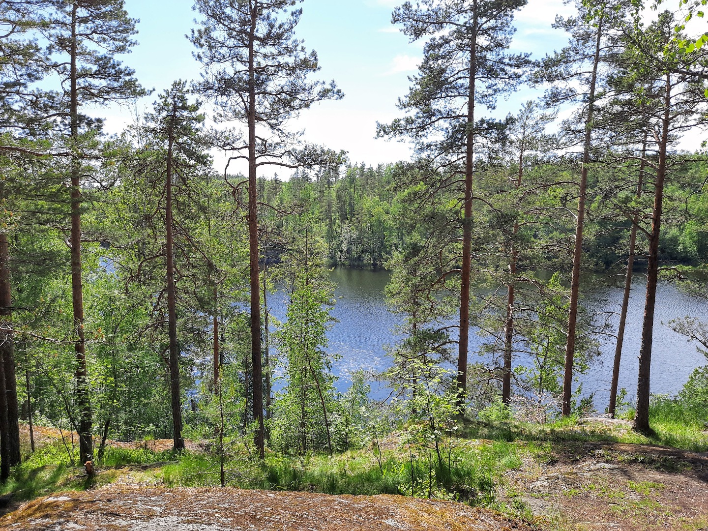 Дорога к дальнему водопаду. Дорога к дальнему водопаду.