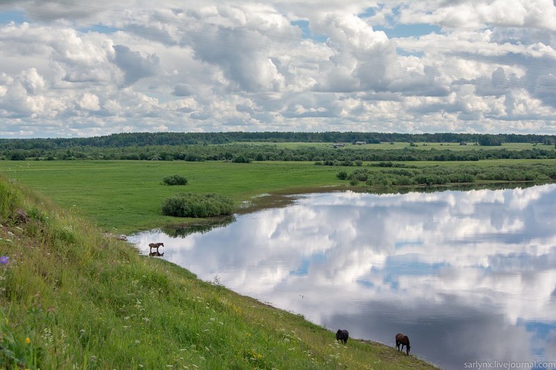 Турчасово. Вдоль Онеги путешествия, факты, фото