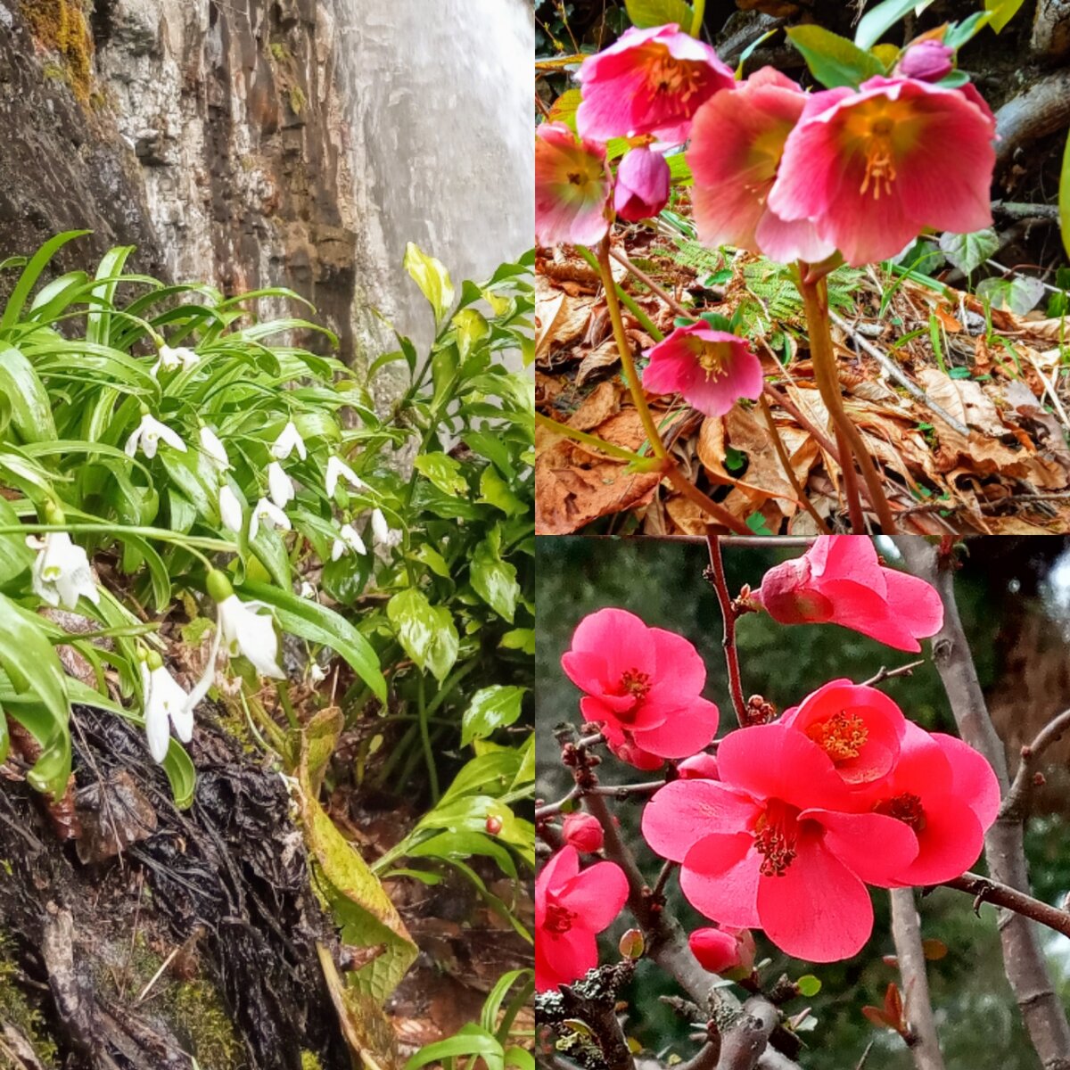 3 причины, почему я хочу жить в Абхазии новости,события