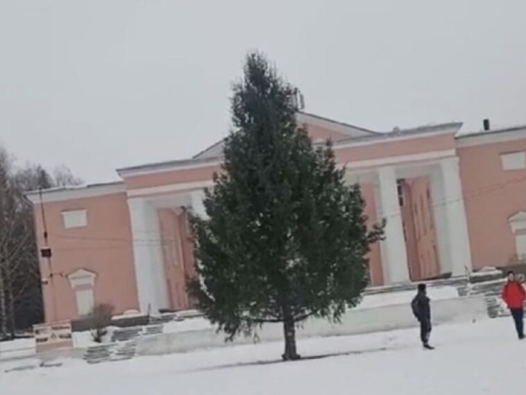 На Урале чиновники самовольно срубили елку для главной площади на участке горожанки (ФОТО, ВИДЕО)