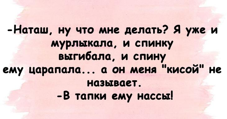 Веселье возможно и в будний день Веселье возможно и в будний день