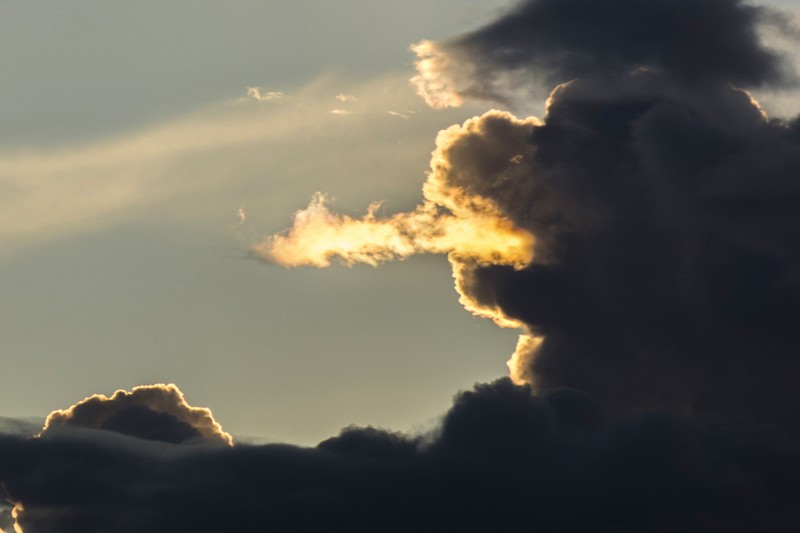 20 фото, снятых в нужный момент, которые заставят вас приглядеться 20 фото, снятых в нужный момент, которые заставят вас приглядеться