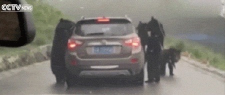 Господа, вы как хотите, а я за руль больше не сяду! смешные картинки