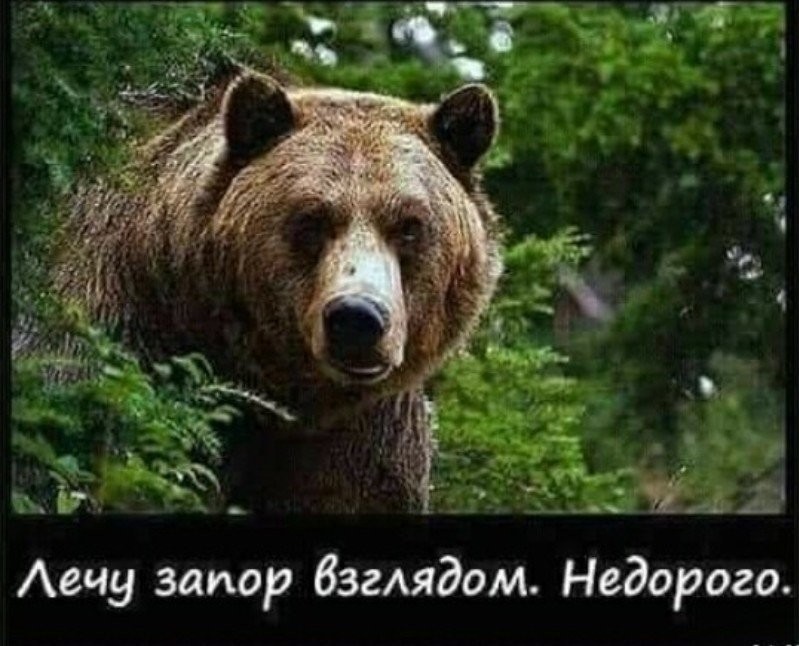 Опросы, проведённые в народе, выяснили: население в целом довольно... весёлые