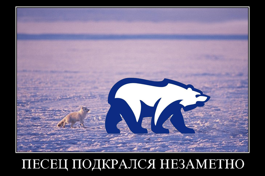 Arctic-Fox+Polar-Bear