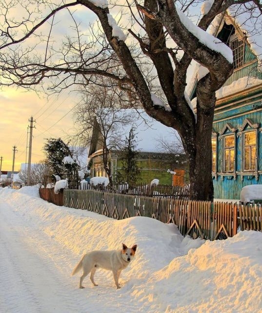 Фотографии русской деревни, которые вызывают ностальгию