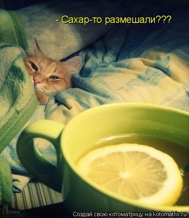 Мысли вслух :)