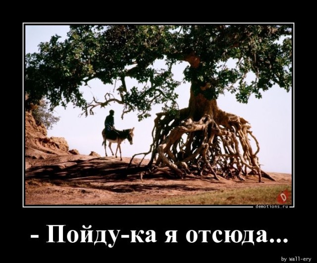 Демотиваторы для пятничного настроения: «С — смекалка» 