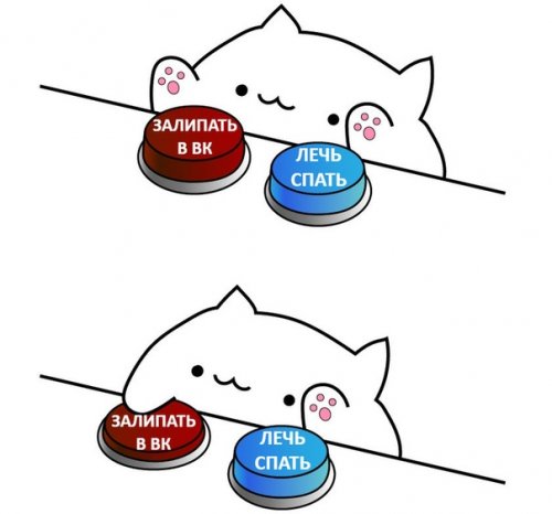 Новая порция фотомемов Новая порция фотомемов