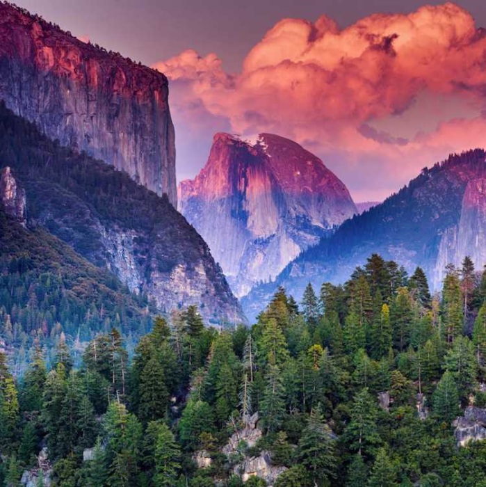 Национальный парк Йосемити, Калифорния. Автор: Murali Achanta.