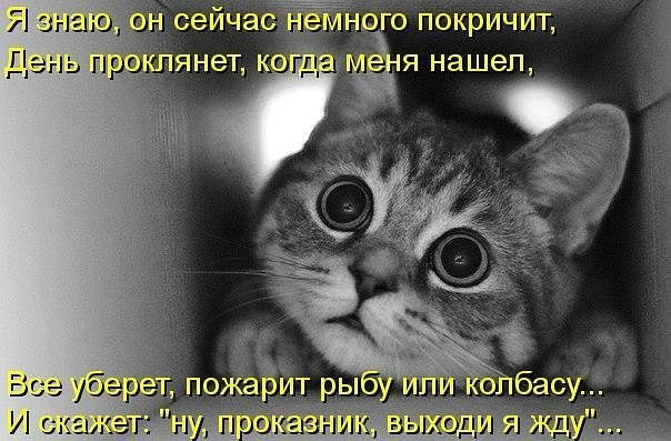 Етиццкий Кот... Етиццкий Кот...