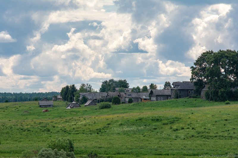 Турчасово. Вдоль Онеги путешествия, факты, фото