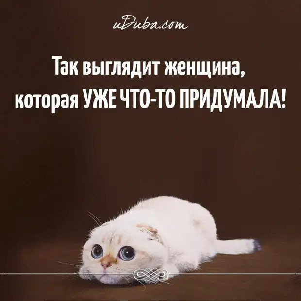 Такое настроение сегодня «хорошее», что ни в сказке сказать, ни матом сформулировать… Такое настроение сегодня «хорошее», что ни в сказке сказать, ни матом сформулировать… Чтобы, женщина, холодно, сегодня, мужчины, завтра, уснула, таблетки, постели, встал, форточку, говорит, Чтото, чтонибудь, Доктор, восстановится, сильнее, пустяки…, ресторан, больше