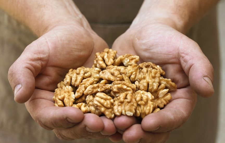 Грецкие орехи: состав, суточная норма, польза и вред здоровье,питание,полезные продукты,польза и вред