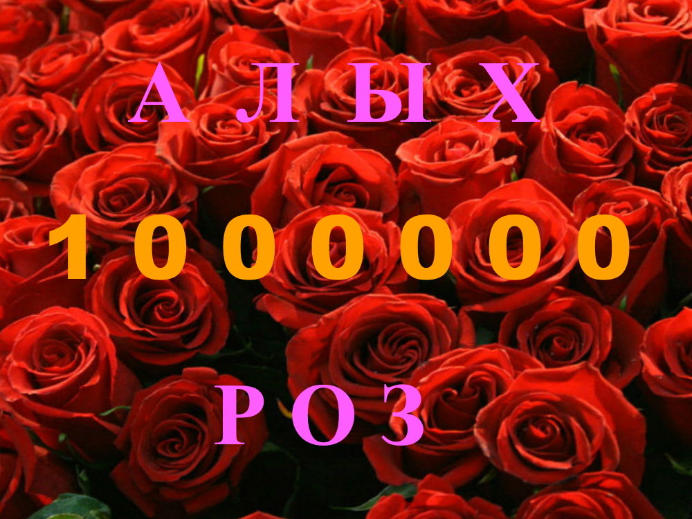 1000000 1000000 Алых роз