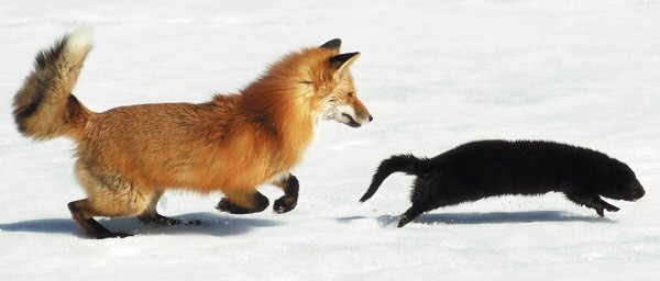 Подборка интересных и веселых картинок №68 отдых