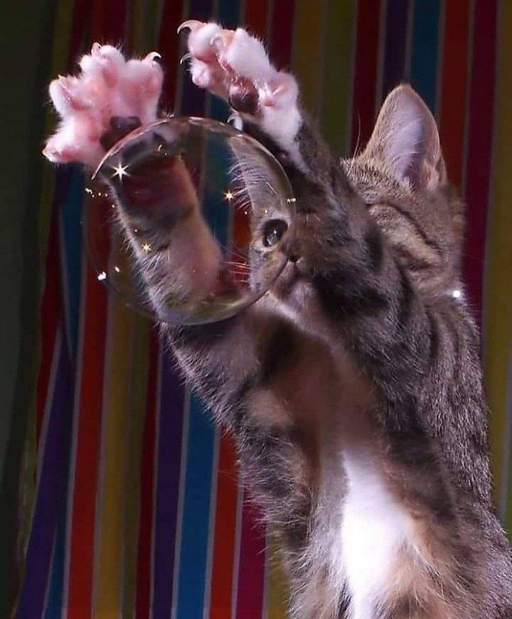 Подборка интересных и веселых картинок 14.07.19 курьезы,приколы,юмор