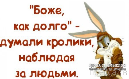 Анекдоты и юмор на славу Анекдоты и юмор на славу