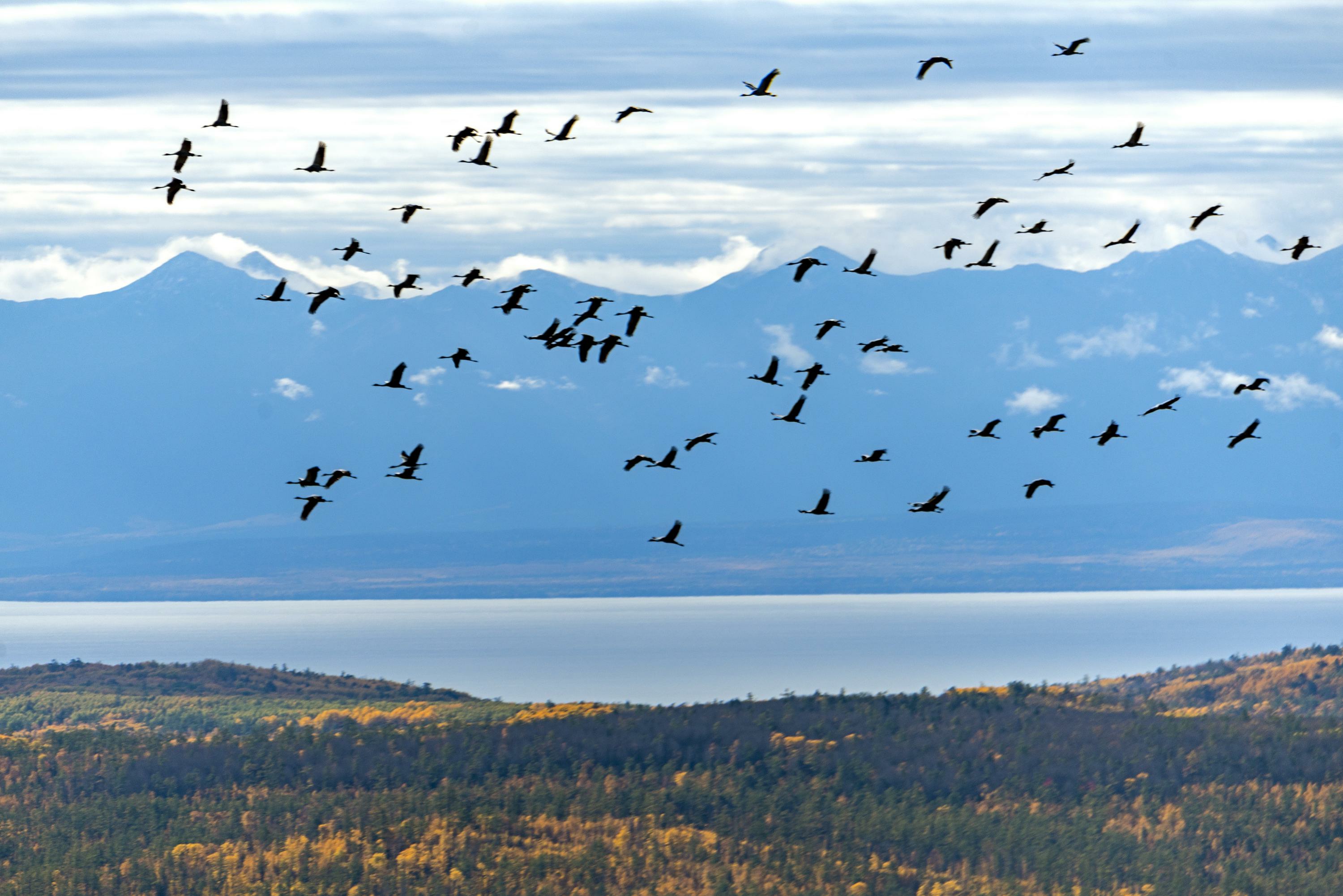 Повод для гордости или…? Байкал от канализационных стоков не даёт спасти правовой тупик россия