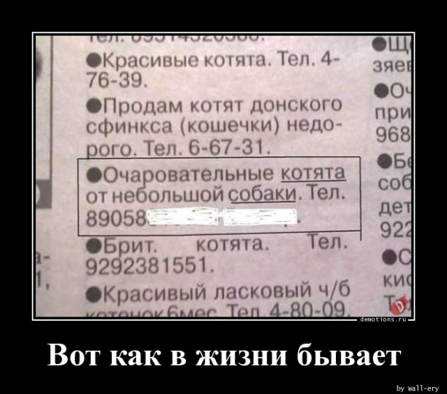 Демотиваторов пост: «Когда бюджет ограничен, а праздника хочется…» 