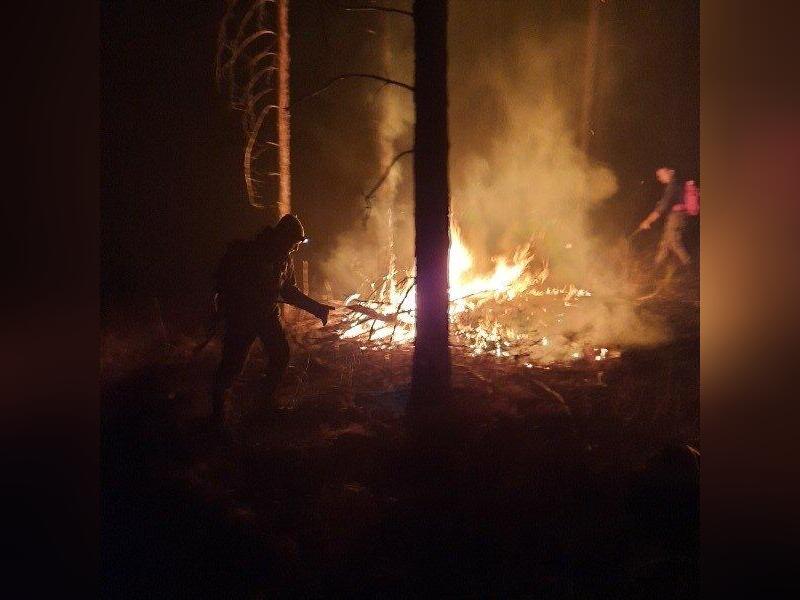 Четыре пожара действуют в настоящее время в Забайкалье