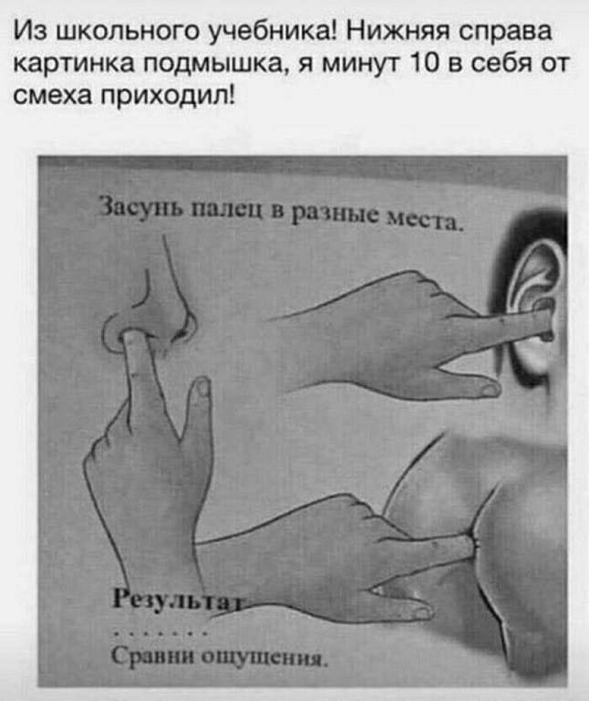 Как я тебе? - Давай без света. Как я тебе? - Давай без света. анекдоты,веселье,демотиваторы,приколы,смех,юмор