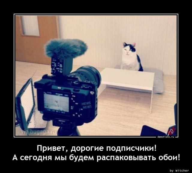 Постоянная рубрика для любителей демотивирующих картинок! Несём хорошее настроение в каждый монитор! 