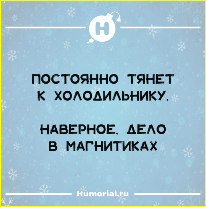 Каков период полураспада оливье? Юмор на ночь глядя 