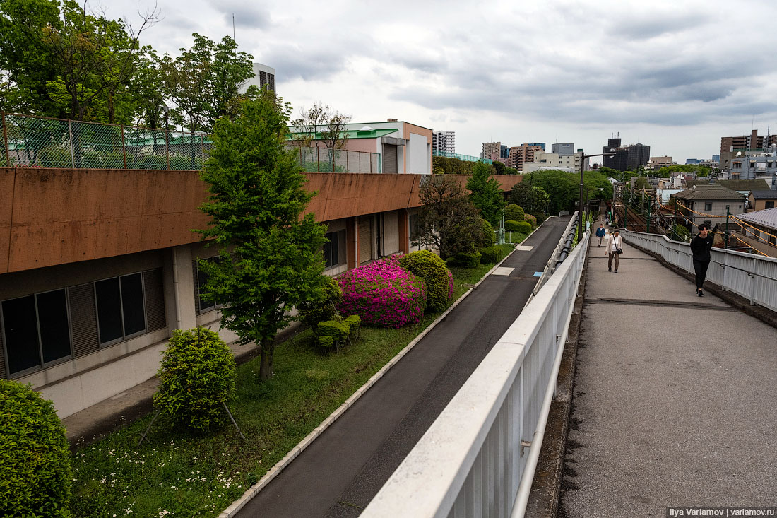 Что японцы делают с мусором Что японцы делают с мусором городская среда, интересное, мусор, парк, путешествия, токио, япония