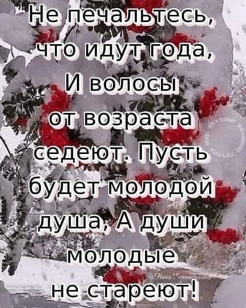 Глухая зимняя ночь после суматошного дня Глухая зимняя ночь после суматошного дня