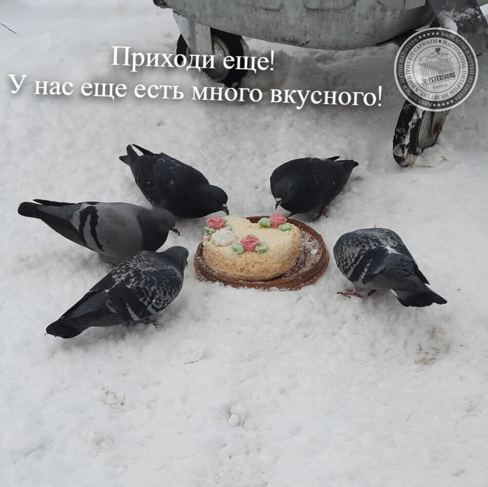 Много вкусного