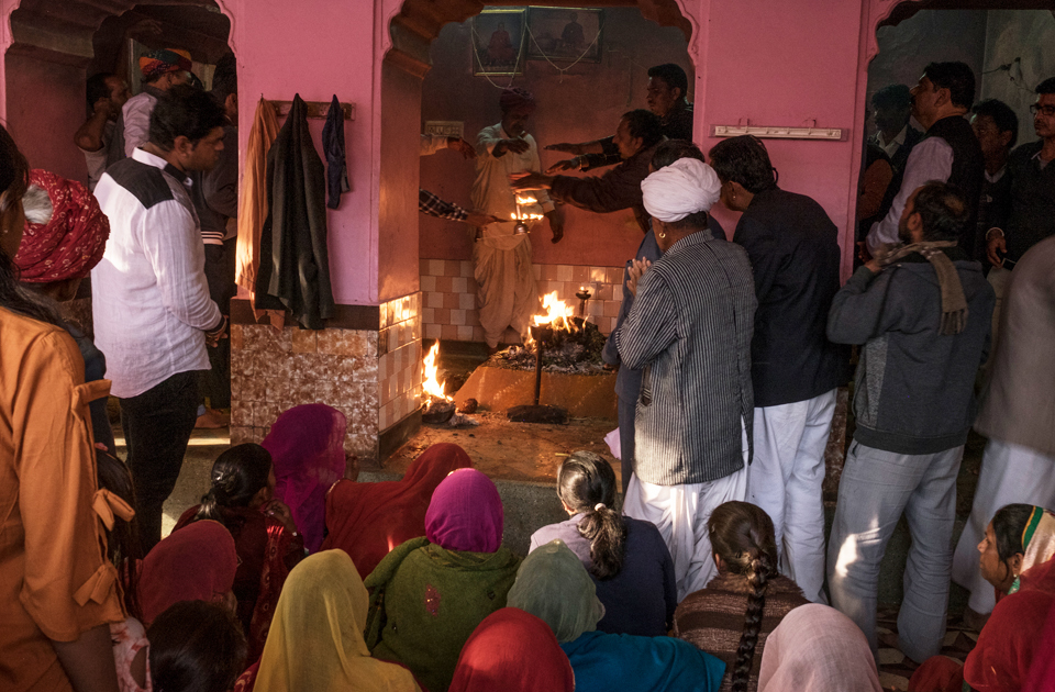 Крысиный рай: индийский храм, где поклоняются грызунам Крысиный рай: индийский храм, где поклоняются грызунам индия,история,крысы,культура индии,мир,страны