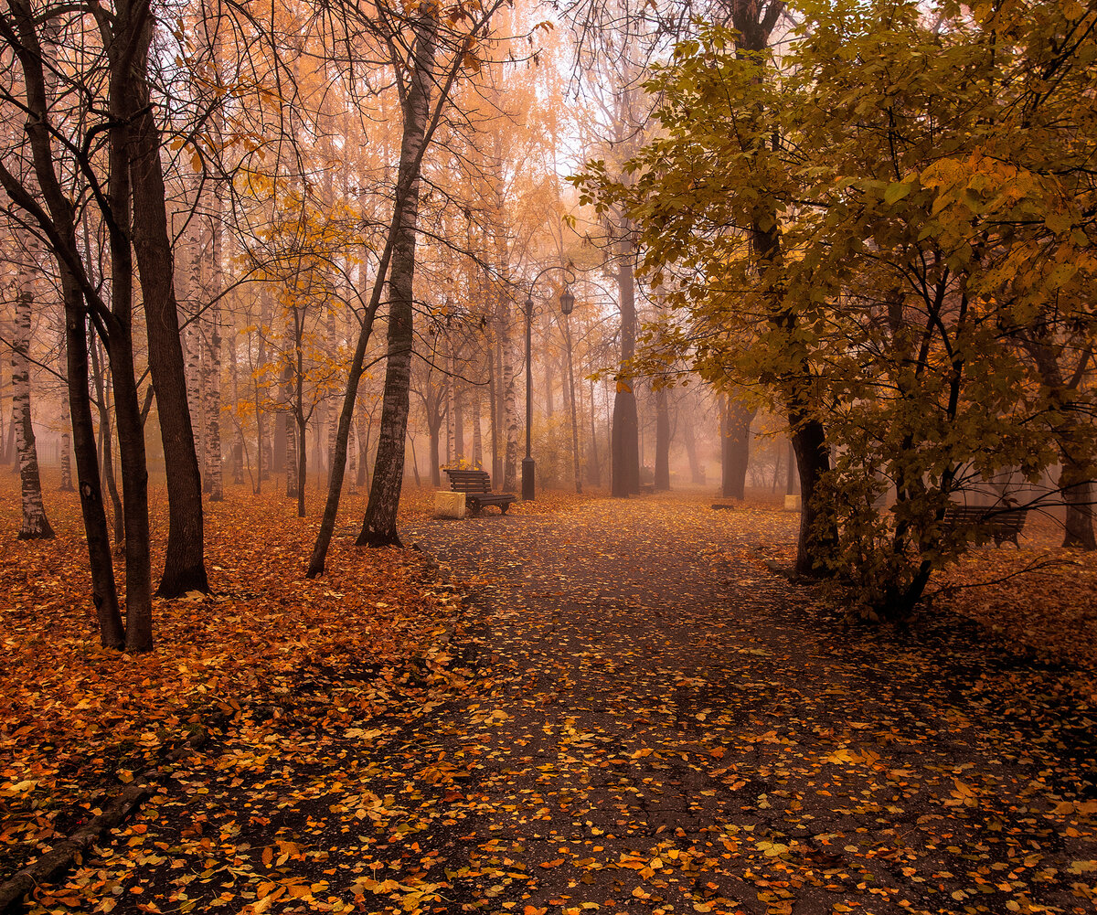 Прогулка в царстве осени.