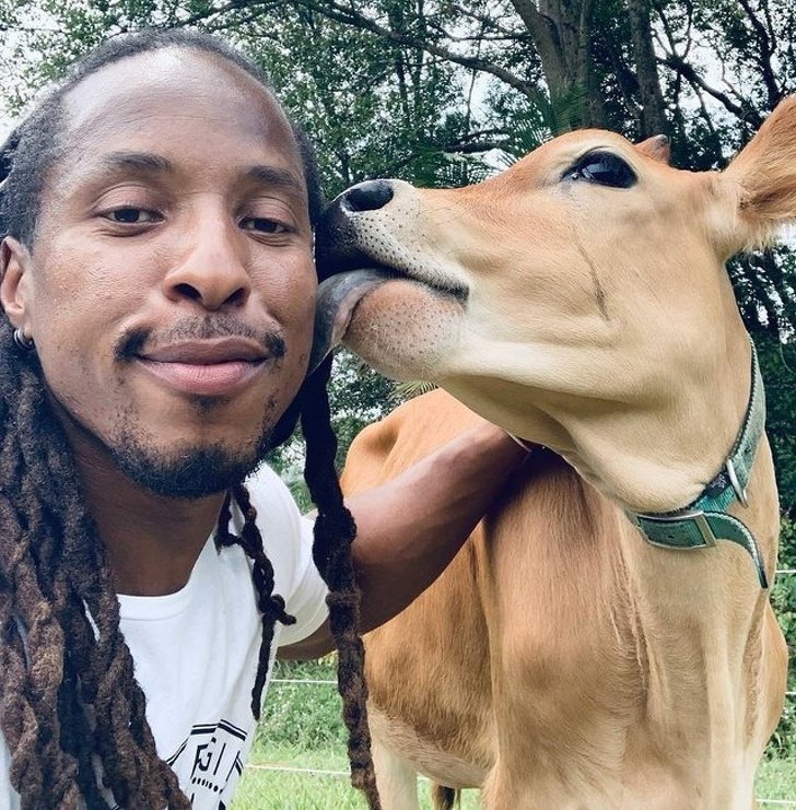 Эти фотографии доказывают, что животные созданы из любви Эти фотографии доказывают, что животные созданы из любви животные