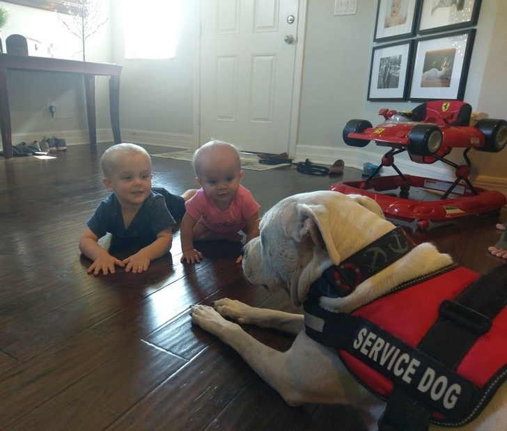 Каждому ребенку нужен питомец картинки