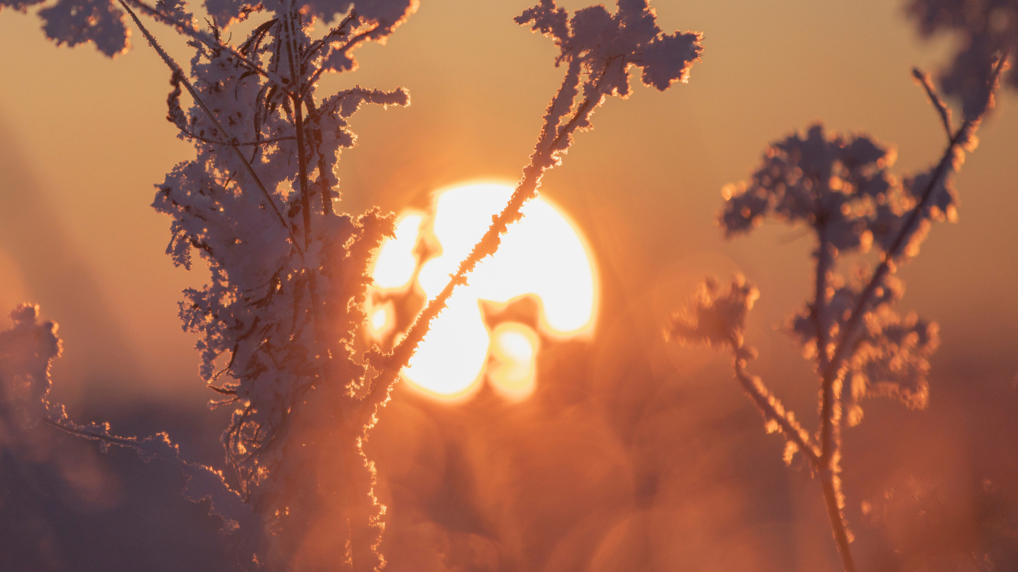Почему Земля ближе всего к Солнцу зимой Земли, Солнцу, орбиты, примерно, полушарии, момент, около, перигелием, длиннее, тепла, форма, афелии, земной, меняется, орбита, идеальная, солнечного, света, слегка, окружность