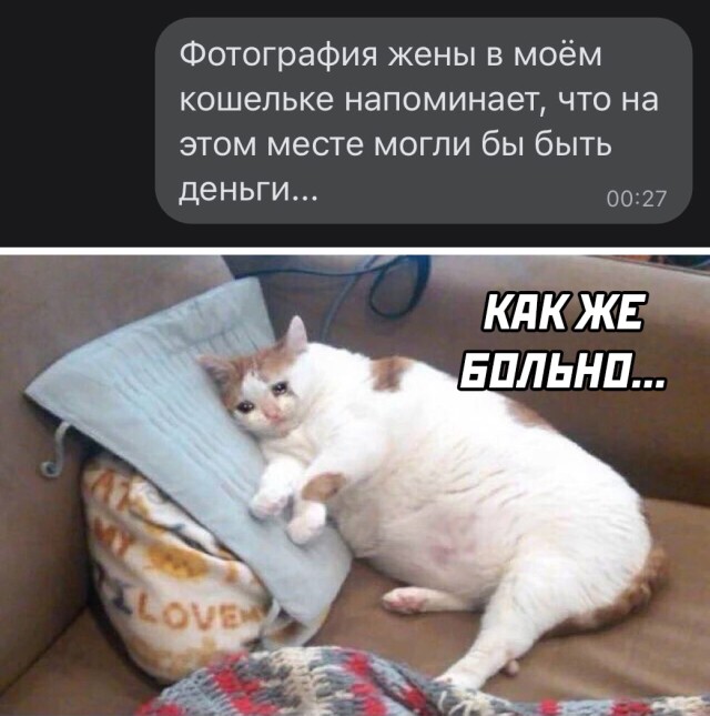 Подборка прикольных картинок  приколы,смешные картинки,юмор