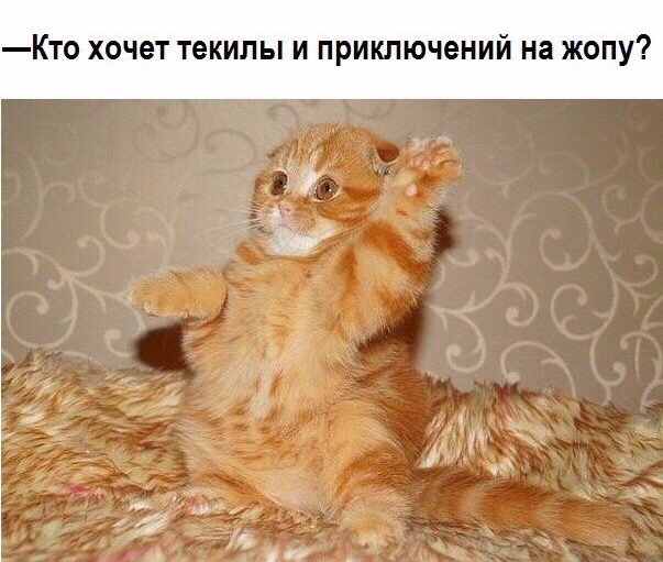 Пятничные картинки и фотографии с надписями для хорошего настроения