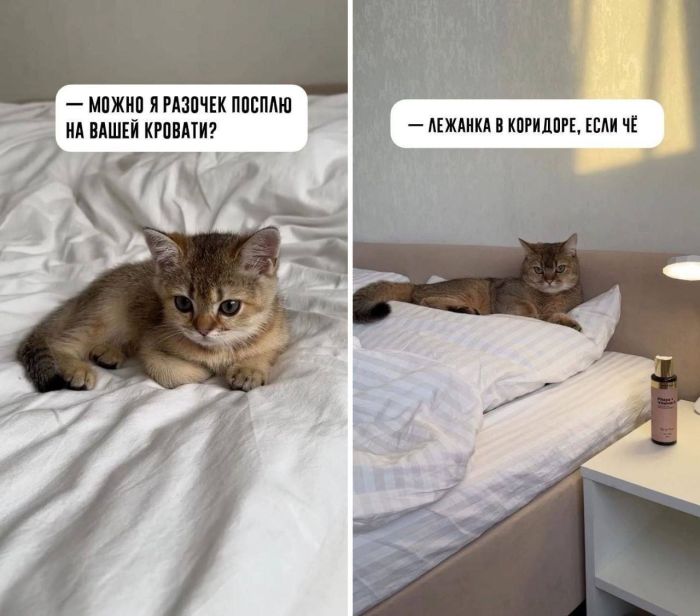 Юмор для тех, кто уже повзрослел и понял, что «баланс» - это когда и холодильник полный, и счёт не в минусе 