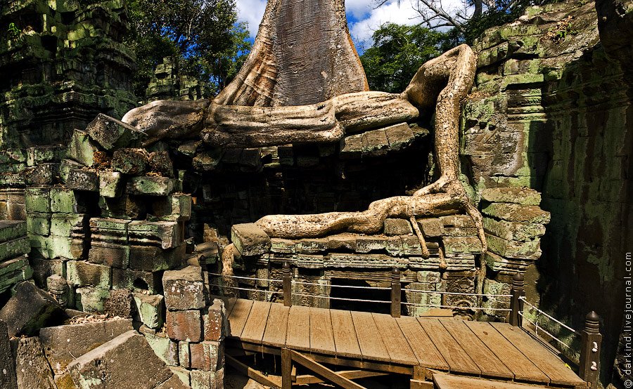 Камбоджийский храм Та Пром (Ta Prohm) и гигантские деревья можно, храмов, деревья, блоки, стенами, когда, более, несколько, вековые, храма, Ангкор, гигантскими, наблюдать, туристов, такой, камни, только, много, храмы, массивным