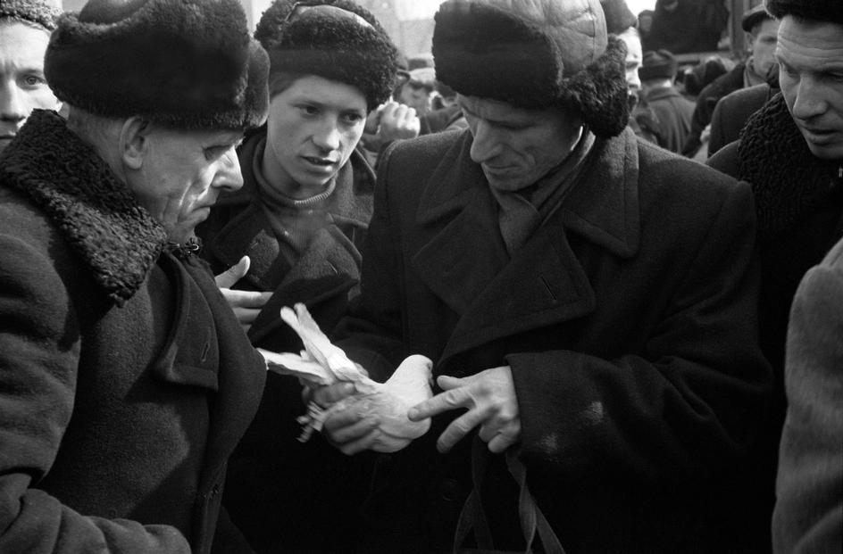 Москва 1958 года в фотографиях Эриха Лессинга 