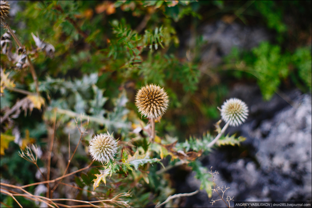 Адыгея. Плато Лаго-Наки. Адыгея. Плато Лаго-Наки. автотуризм