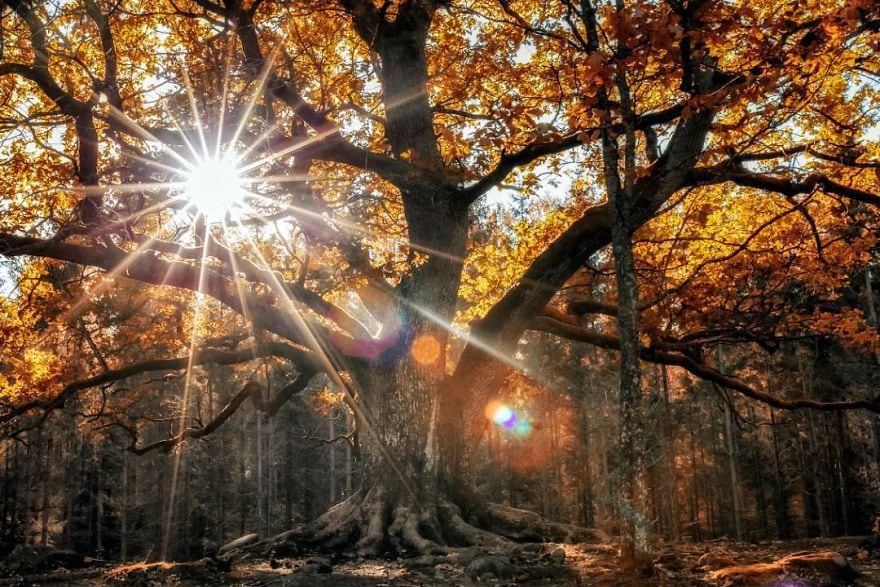 Финская природа в объективе финского фотографа Финская природа в объективе финского фотографа