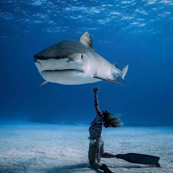 Мегапозитивная подборка дня Мегапозитивная подборка дня