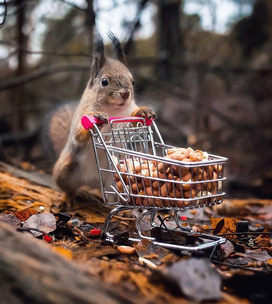 Финская природа в объективе финского фотографа Финская природа в объективе финского фотографа