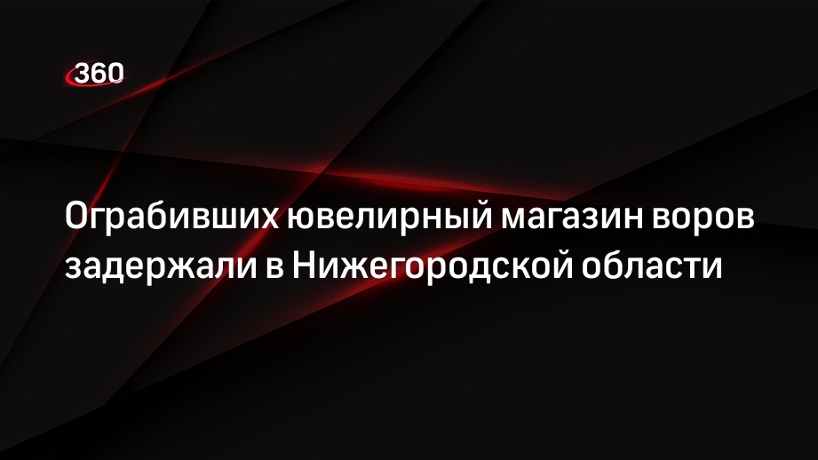 Ограбивших ювелирный магазин воров задержали в Нижегородской области