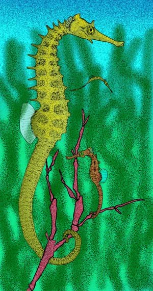 Hippocampus sarmaticus By Apokryltaros [CC BY-SA 3.0] license, via Wikimedia Commons